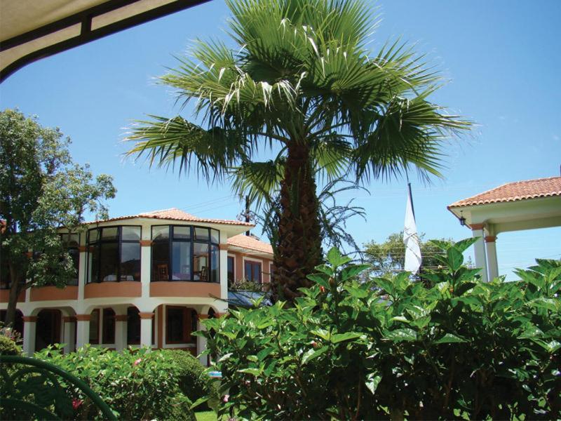 Hotel Arrecife De Coral San Cristóbal de Las Casas Zewnętrze zdjęcie